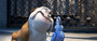 Photo 3 pour RIO EN 3D